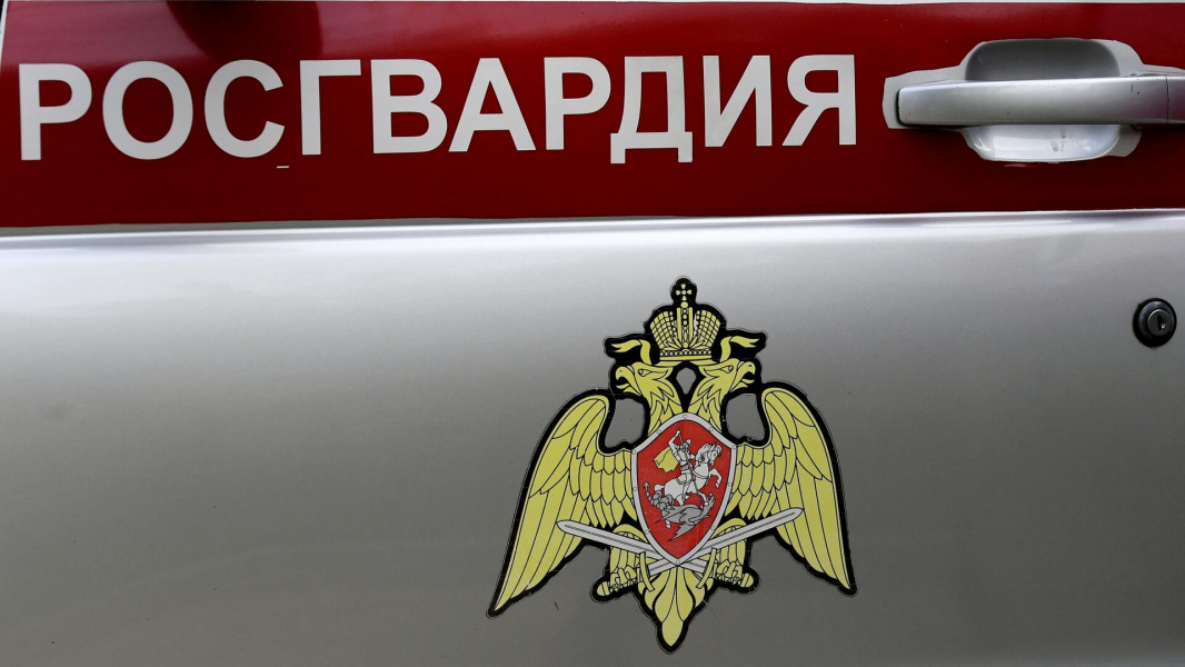 Росгвардия сбила 40 украинских дронов в рамках КТО в Курской области